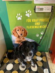 Foto aus der Galerie